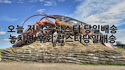 🦞 오늘 저녁은 랍스터? 당일배송 놓치면 후회! #랍스터당일배송 🚀