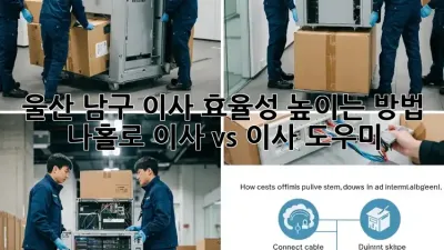 울산 남구 이사 효율성 높이는 방법: 나홀로 이사 vs 이사 도우미